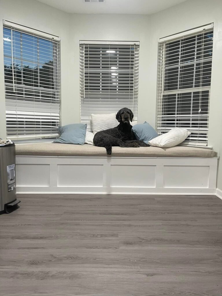 WhatsApp Image 2024-12-29 at 7.00.49 PM (1)