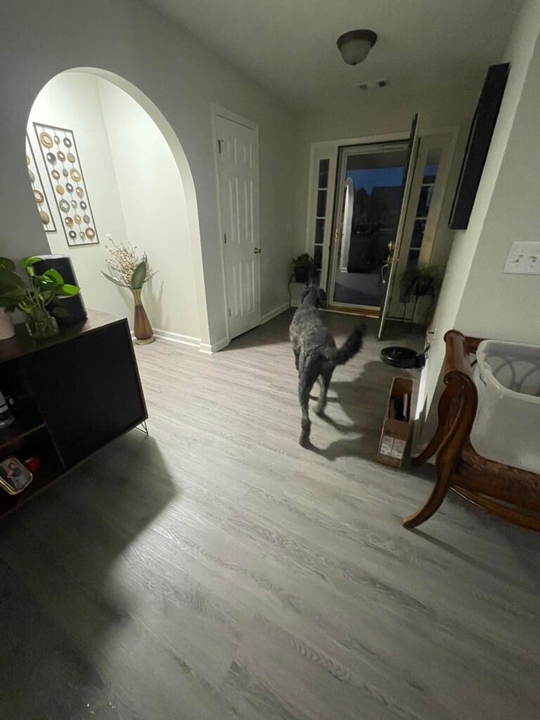 WhatsApp Image 2024-12-29 at 7.00.51 PM